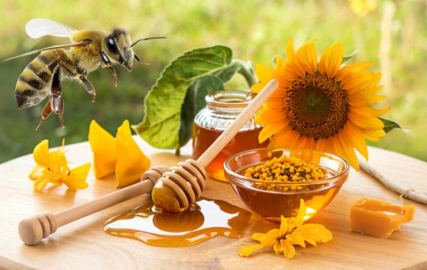 apitherapie-bienenprodukte-ganzheitliche-wirkung-anwendung-erfahrungen-naturheilkunde-gesundheitsindex
