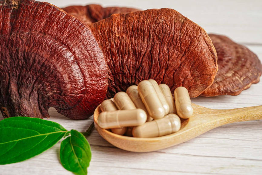 heilpilze-tcm-ganzheitliche-wirkung-anwendung-erfahrungen-naturheilkunde-gesundheitsindex