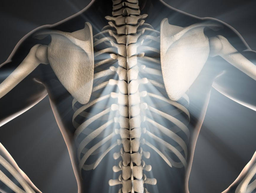 osteoporose-ganzheitliche-therapie-naturheilkunde-erfahrungen-gesundheitsindex