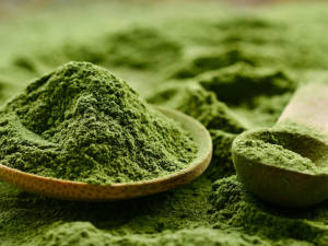 chlorella-gesundheitsindex