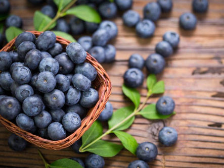 heidelbeeren-bei-grauer-star-gesundheitsindex-333