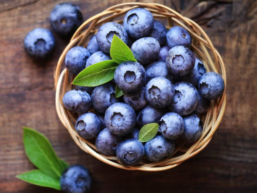 heidelbeeren-gesundheitsindex