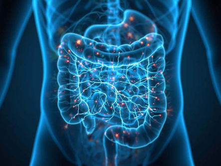 leaky-gut-loechriger-darm-ganzheitliche-therapie-holistische-behandlung-naturheilmittel-hausmittel-massnahmen-naturheilkunde-erfahrungen-gesundheitsindex-333