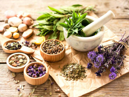 phytotherapie-bei-grauem-star-gesundheitsindex-333