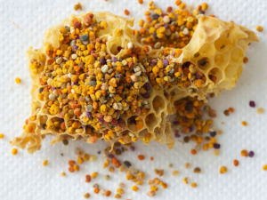 blütenpollen-bienenpollen-gesundheitsindex