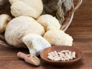 hericium-löwenmähne-gesundheitsindex