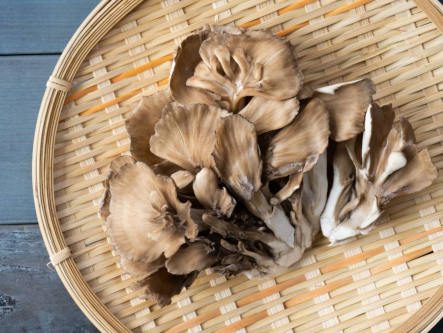 maitake-pilz-bei-bluthochdruck-gesundheitsindex-333