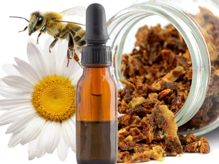 propolis-bei-bluthochdruck-gesundheitsindex-333