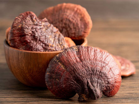 reishi-bei-bluthochdruck-gesundheitsindex-333