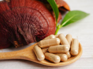 reishi-pilz-ganoderma-lucidum-gesundheitsindex