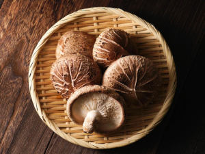 shiitake-gesundheitsindex