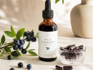Heidelbeeren-kaufen-gesundheitsindex-300